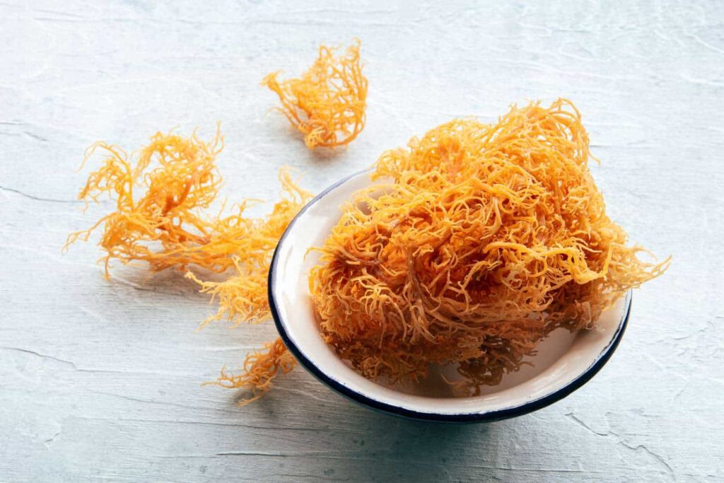 How to Choose Quality Sea Moss