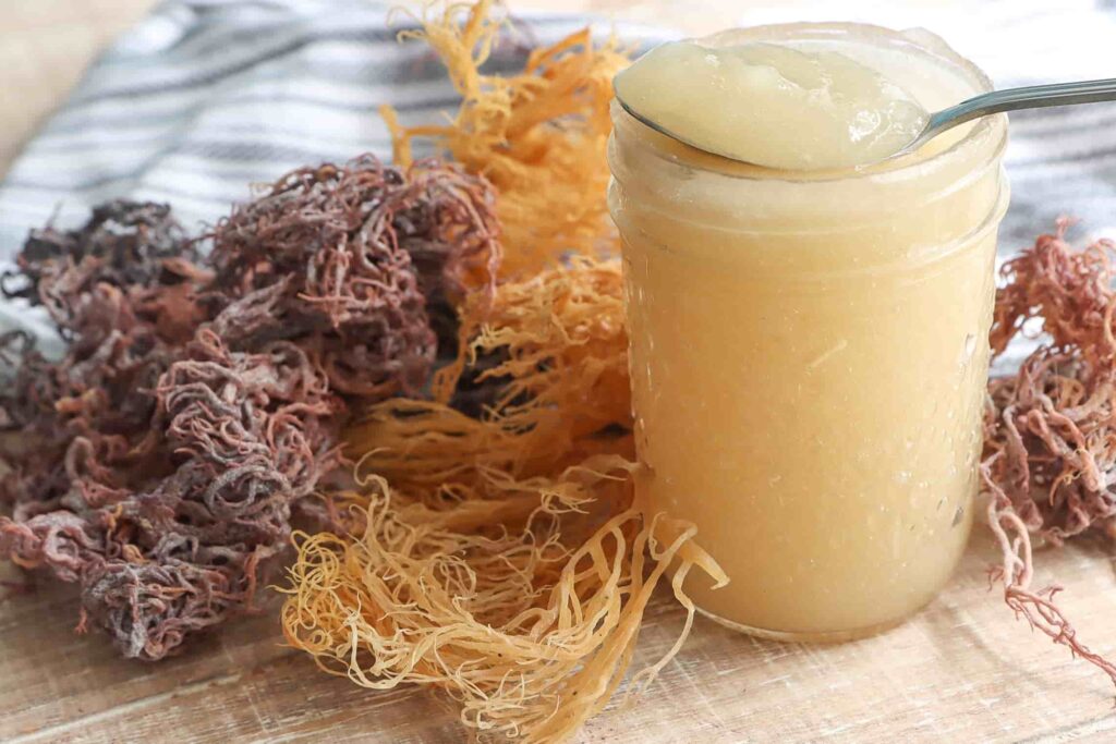 How to Use Sea Moss