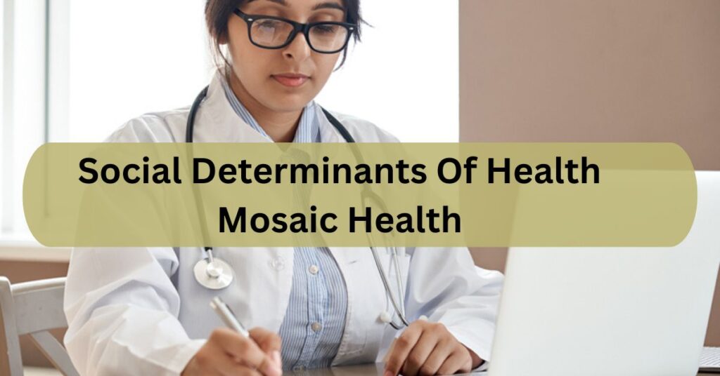 Social Determinants Of Health Mosaic Health