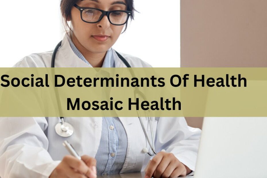 Social Determinants Of Health Mosaic Health