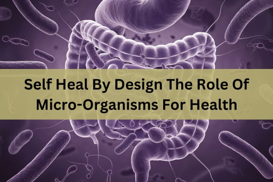 Self Heal By Design The Role Of Micro-Organisms For Health