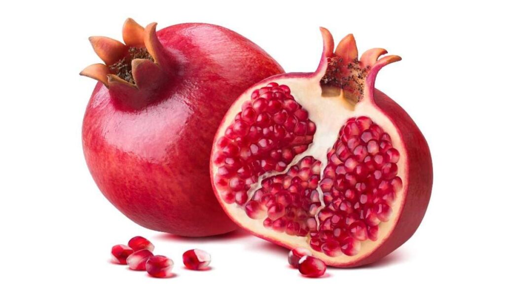 The Core Features of Pomegranate Telehealth