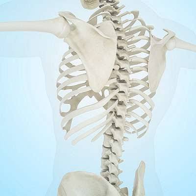 Key Factors to Evaluate When Choosing a Private Spine Surgeon
